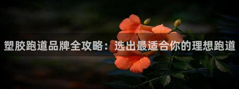 KB88凯时官网登录：塑胶跑道品牌全攻略：选出最适合