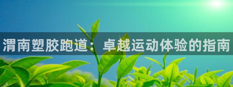 尊龙凯时人生就是博中国官网：渭南塑胶跑道：卓越运动体验的指南