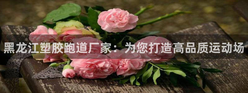 尊龙游戏官网游戏特色：黑龙江塑胶跑道厂家：为您打造高品质运动场