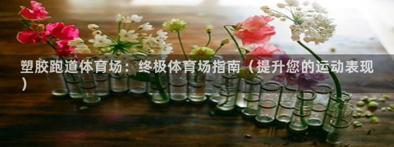 凯时k8娱乐唯一官网：塑胶跑道体育场：终极体育场指南