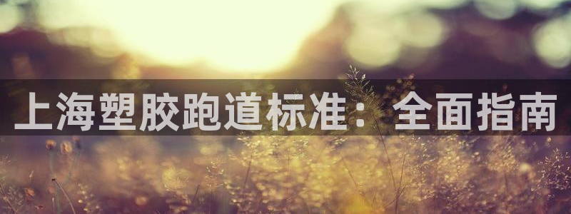 尊龙凯时为什么输了钱：上海塑胶跑道标准：全面指南