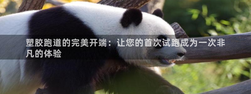尊龙-人生就是博：塑胶跑道的完美开端：让您的首次试跑成为一次非
凡的体验