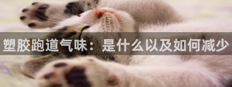 凯时游戏app：塑胶跑道气味：是什么以及如何减少