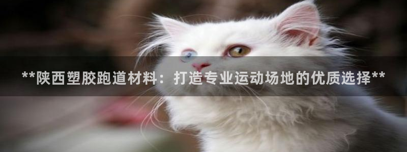 尊龙-人生就是博!：**陕西塑胶跑道材料：打造专业运动场地的优质选择**