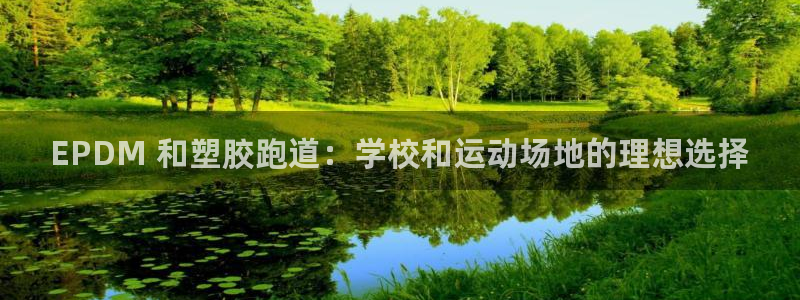 尊龙凯时网娱乐最新版：EPDM 和塑胶跑道：学校和运动场地的理想选择