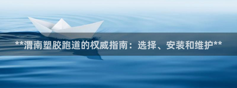 尊龙凯时 - 人生就是搏!：**渭南塑胶跑道的权威指南：选择、安装和维护**