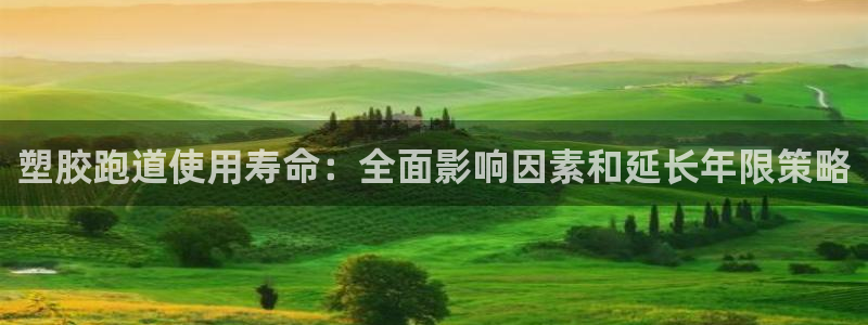 尊龙ag旗舰厅官网·(中国)官方入口：塑胶跑道使用寿命：全面影响因素和延长年限策略