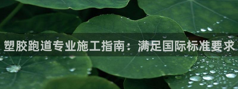 尊龙凯时怎么注册：塑胶跑道专业施工指南：满足国际标准