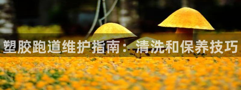 尊龙手机客户端下载APP：塑胶跑道维护指南：清洗和保养技巧