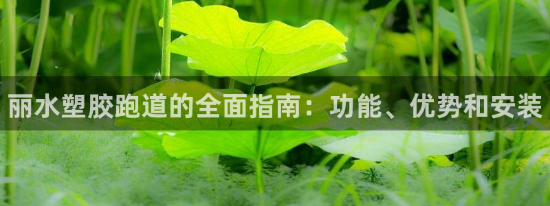 凯时尊龙平台登录：丽水塑胶跑道的全面指南：功能、优势