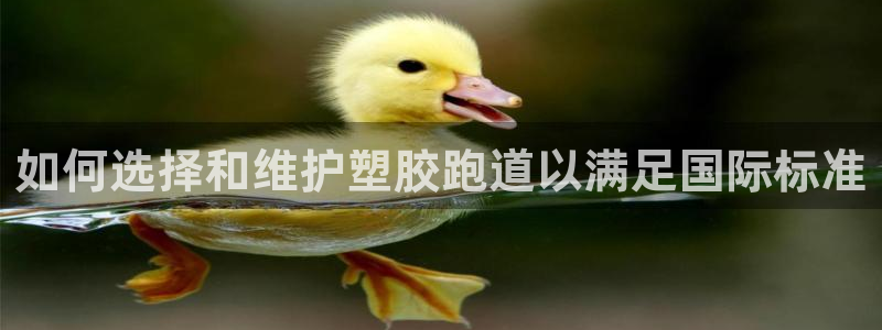 尊龙游戏官网游戏特色：如何选择和维护塑胶跑道以满足国