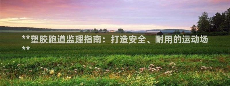 尊龙人生就是博旗舰厅：**塑胶跑道监理指南：打造安全、耐用的运动场
**