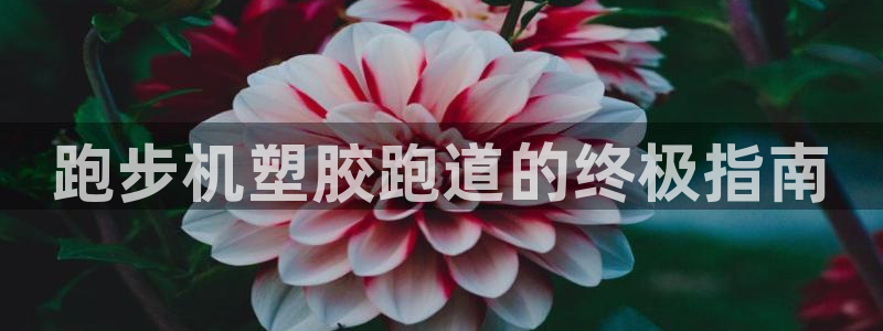 尊龙凯时ag旗舰厅官网客服：跑步机塑胶跑道的终极指南