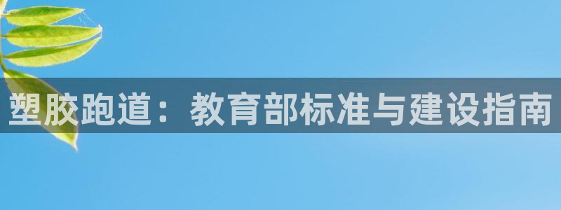 z6尊龙凯时旗舰厅：塑胶跑道：教育部标准与建设指南