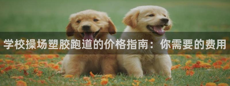尊龙集团有限公司：学校操场塑胶跑道的价格指南：你需要