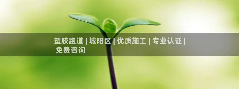 尊龙人生就是博旧版手机可靠送38元：塑胶跑道 | 城