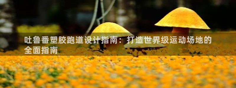 凯时登录平台去AG发财网：吐鲁番塑胶跑道设计指南：打