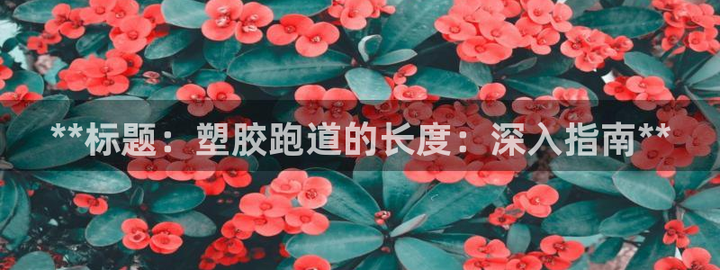 尊龙t400和尊龙t300区别：**标题：塑胶跑道的