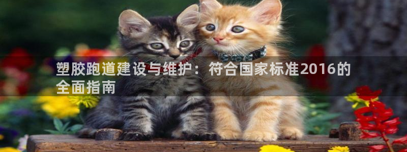 尊龙旗舰店：塑胶跑道建设与维护：符合国家标准2016的
全面指南