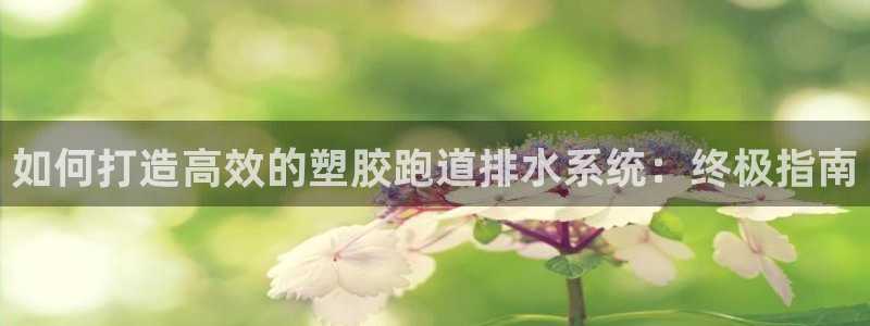 尊龙新版app首页：如何打造高效的塑胶跑道排水系统：