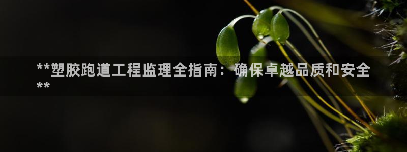 尊龙 贴吧：**塑胶跑道工程监理全指南：确保卓越品质