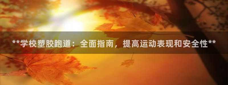 尊龙AG发财网：**学校塑胶跑道：全面指南，提高运动表现和安全性**