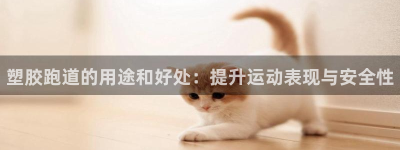 尊龙游戏官网：塑胶跑道的用途和好处：提升运动表现与安全性