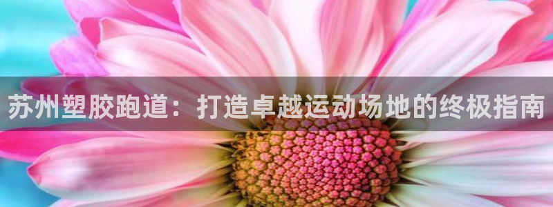尊龙凯时人生就是博游戏网站：苏州塑胶跑道：打造卓越运动场地的终极指南