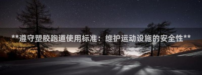尊龙信息科技有限公司：**遵守塑胶跑道使用标准：维护运动设施的安全性**
