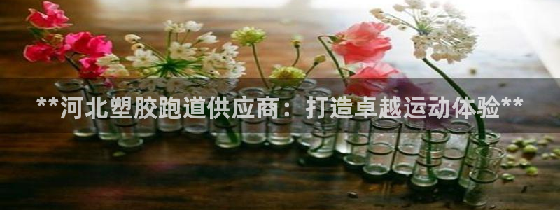 尊龙凯时城游戏官网：**河北塑胶跑道供应商：打造卓越运动体验**