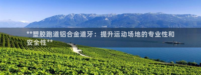 尊龙凯时的企业文化：**塑胶跑道铝合金道牙：提升运动场地的专业性和
安全性**