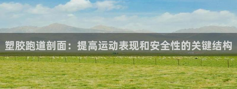 尊龙凯时：塑胶跑道剖面：提高运动表现和安全性的关键结构