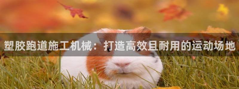 尊龙凯时不给提现怎么办：塑胶跑道施工机械：打造高效且耐用的运动场地