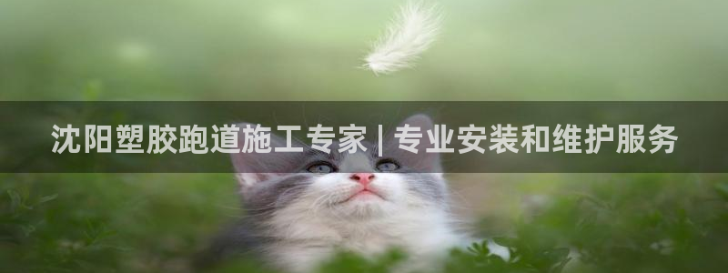 尊龙登录首页：沈阳塑胶跑道施工专家 | 专业安装和维护服务