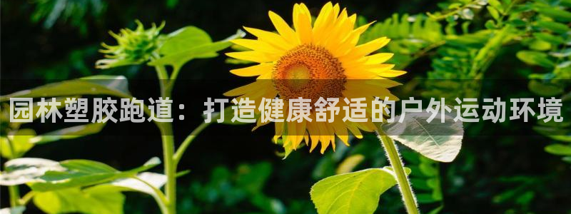 尊龙凯时贴吧：园林塑胶跑道：打造健康舒适的户外运动环境