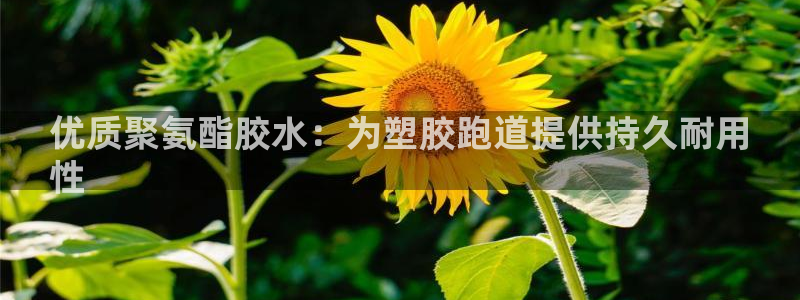 尊龙凯时取款不成功：优质聚氨酯胶水：为塑胶跑道提供持久耐用
性