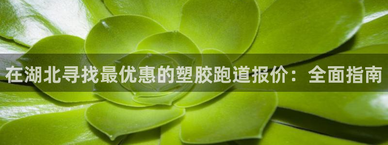 尊龙网址登录官网：在湖北寻找最优惠的塑胶跑道报价：全