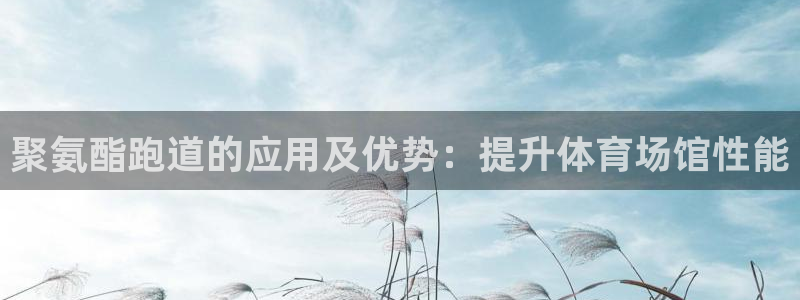 尊龙凯时提现不了：聚氨酯跑道的应用及优势：提升体育场馆性能