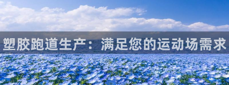尊龙凯时集团：塑胶跑道生产：满足您的运动场需求