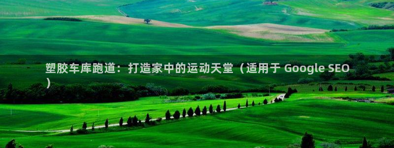 尊龙凯时 - 人生就是搏有假吗：塑胶车库跑道：打造家中的运动天堂（适用于 Google SEO
）
