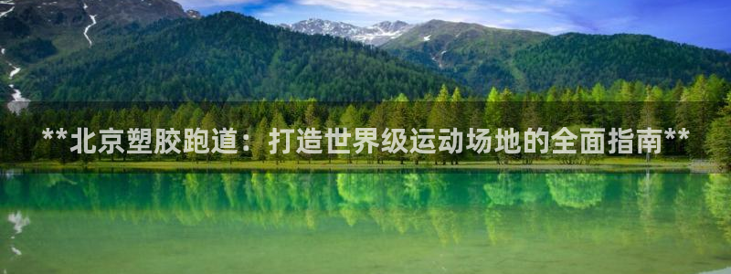 尊龙人生就是博登陆：**北京塑胶跑道：打造世界级运动场地的全面指南**