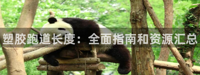 尊龙官网首页：塑胶跑道长度：全面指南和资源汇总