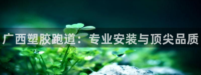 d88尊龙官网登录免费下载：广西塑胶跑道：专业安装与顶尖品质