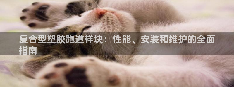 尊龙人生就是博登录首页：复合型塑胶跑道样块：性能、安装和维护的全面
指南