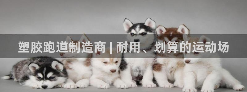 z6尊龙凯时旗舰厅：塑胶跑道制造商 | 耐用、划算的