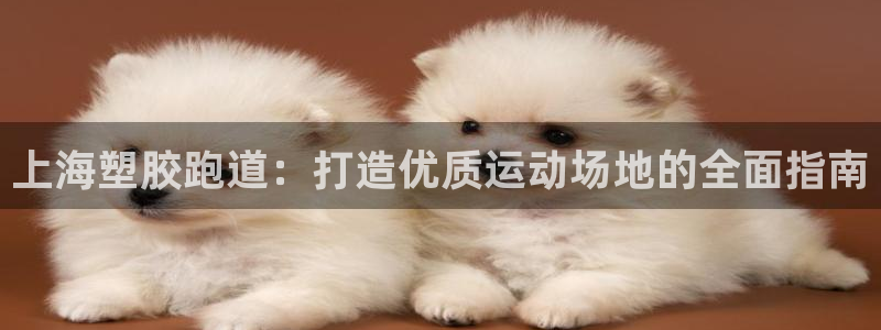 尊龙凯时百万奖池：上海塑胶跑道：打造优质运动场地的全面指南
