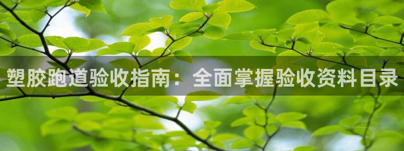 尊龙内地：塑胶跑道验收指南：全面掌握验收资料目录