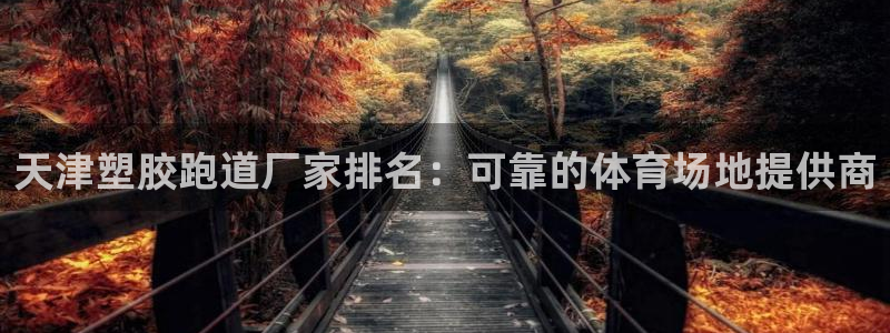 尊龙凯时ag旗舰厅：天津塑胶跑道厂家排名：可靠的体育场地提供商