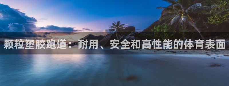 尊龙体育游戏平台：颗粒塑胶跑道：耐用、安全和高性能的体育表面