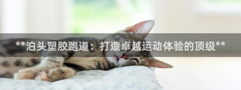 尊龙实业：**泊头塑胶跑道：打造卓越运动体验的顶级**